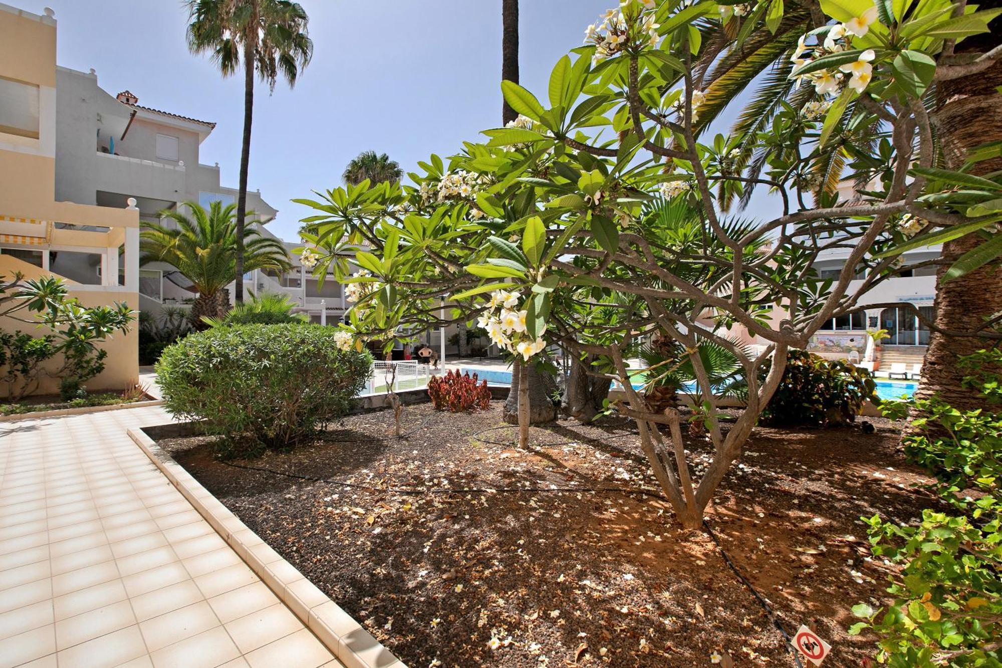 Breeze Island Apartamento Chayofa Exterior foto